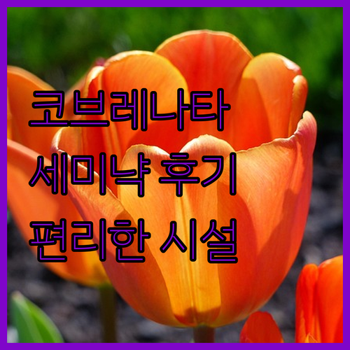 코브 레나타 세미냑 숙박 후기와 편리