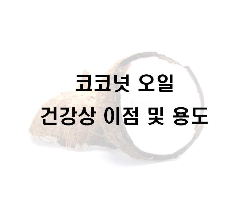  코코넛 오일 건강상의 이점 및 용도