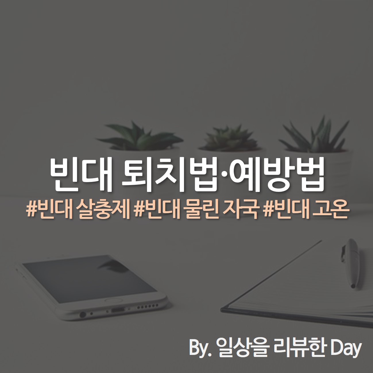 빈대 퇴치법 빈대 예방 빈대 살충제 빈대 잡는 법
