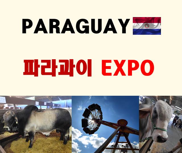 파라과이 엑스포 - Paraguay Expo