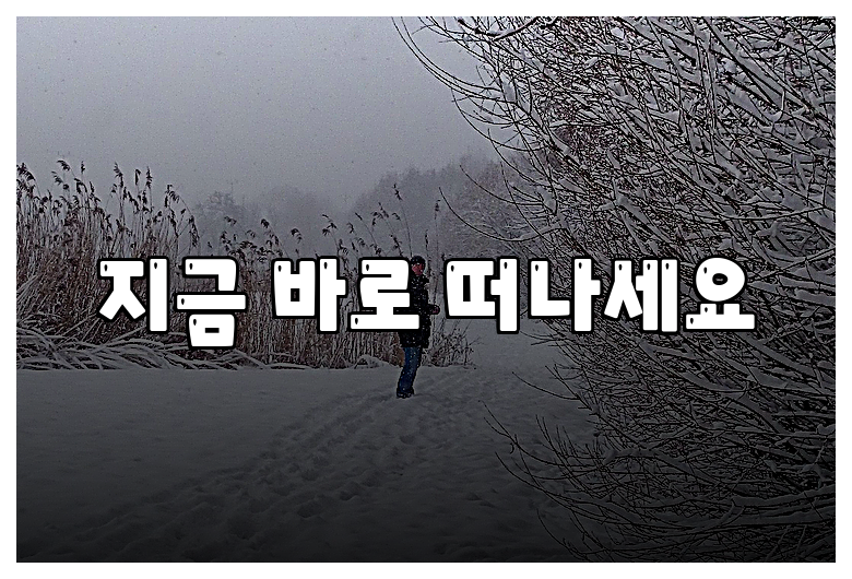 지금 바로 떠나세요