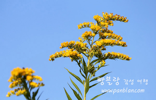 골든열쇠 이미지