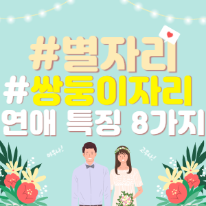  쌍둥이자리 남자 연애 성격 특징 8가지