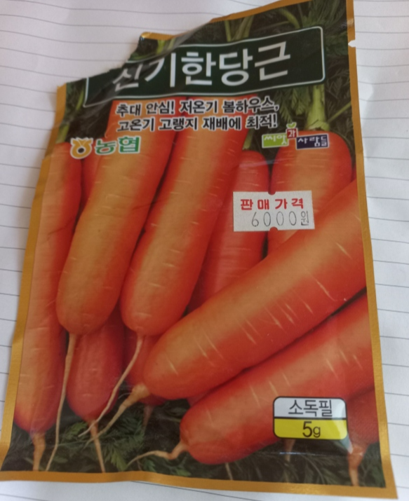 당근씨앗이 들어있는 사진