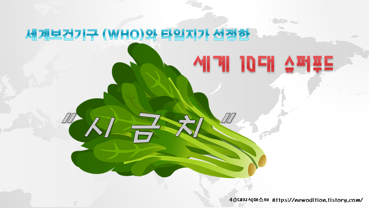  겨울철 눈 건강 타임지가 선정한 10대 슈퍼푸드 시금치로 지키자