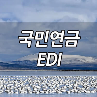 국민연금_EDI_썸네일