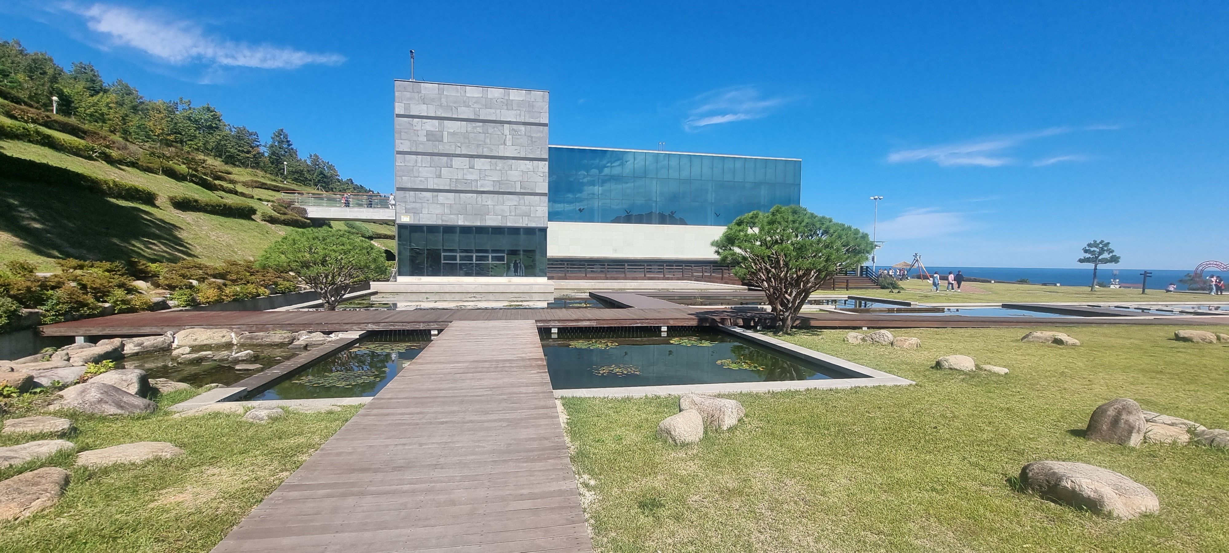 포항 11