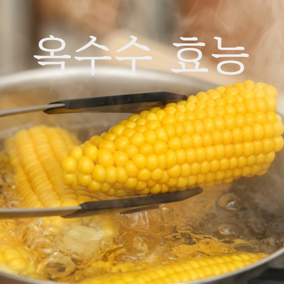 옥수수 종류 & 효능 & 삶은 옥수수 칼로리