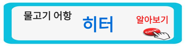 물고기 어항 히터 알아보기 집에서 물고기 키우기: 초보자를 위한 기초 가이드