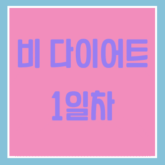  야매로 하는 비 다이어트 1일차