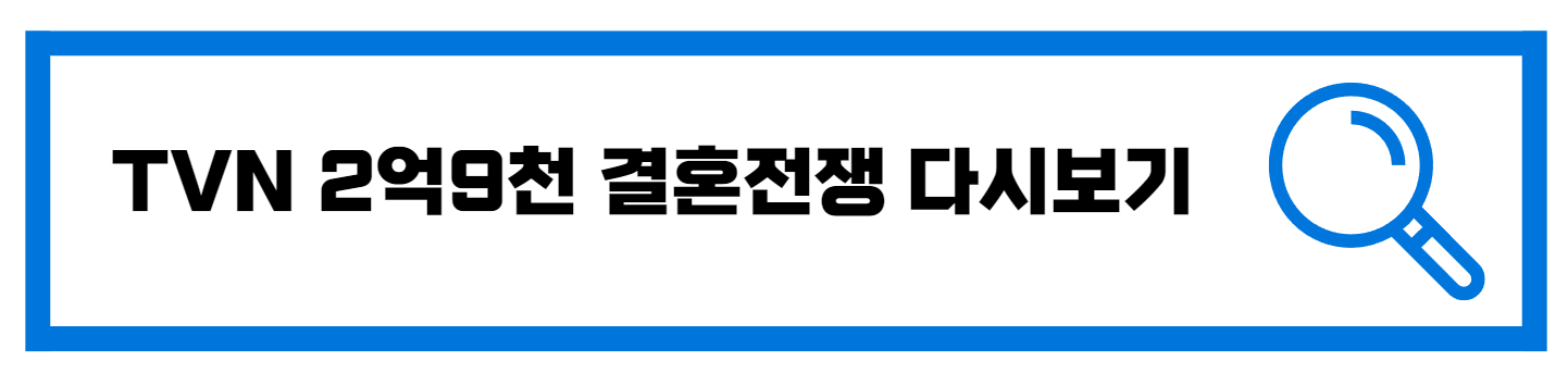  TVN 2억9천 결혼전쟁 참가자 재방송 다시보기