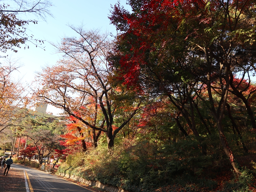남측순환로_03