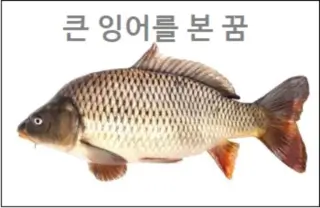 큰 잉어를 본 꿈