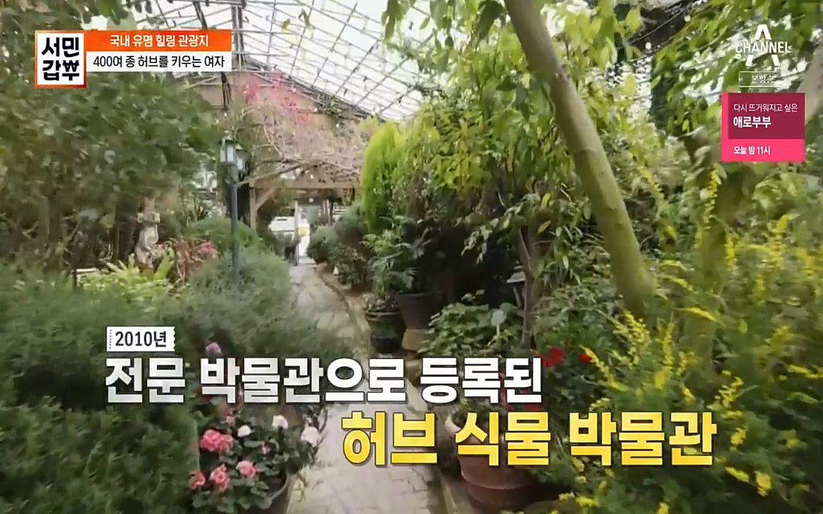 서민 갑부.E380.220424p-NEXT.mp4_20220424_181945.215.jpg