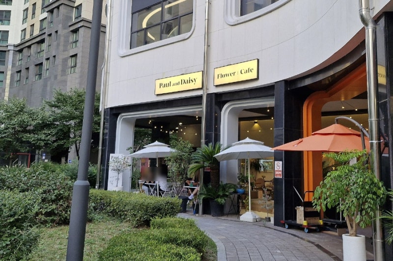 데이지브런치카페 이미지