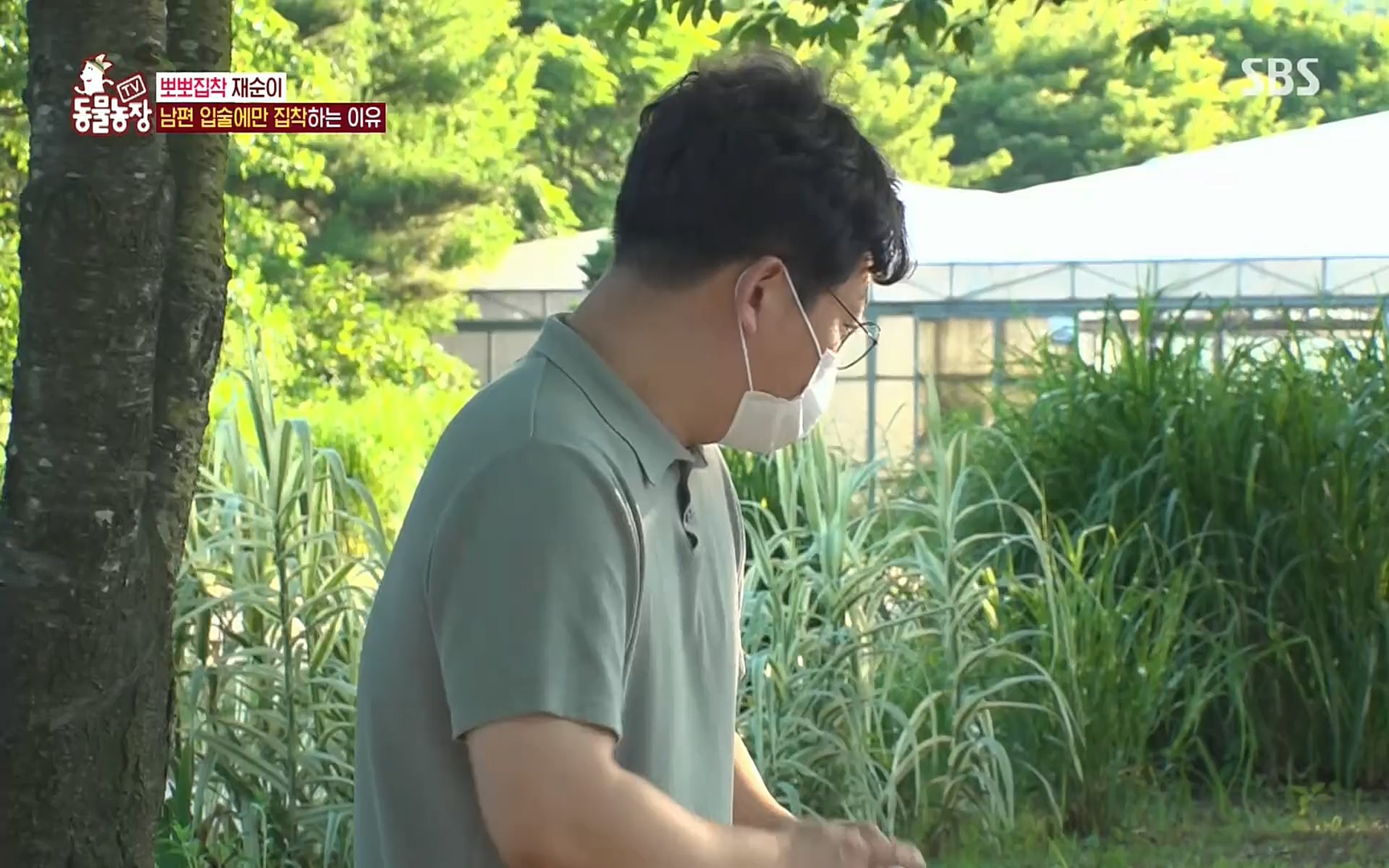 TV 동물농장.E1078.220717p.H264-F1RST.mp4_20220717_151136.433.jpg