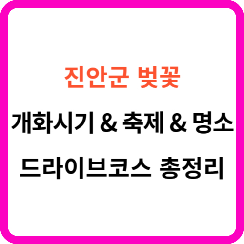 진안 벚꽃 개화시기 명소 드라이브 코스 축제 가이드 썸네일