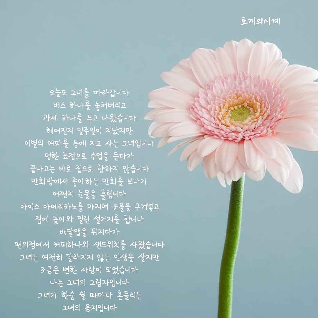  나는 시인이 되고 싶었다 22