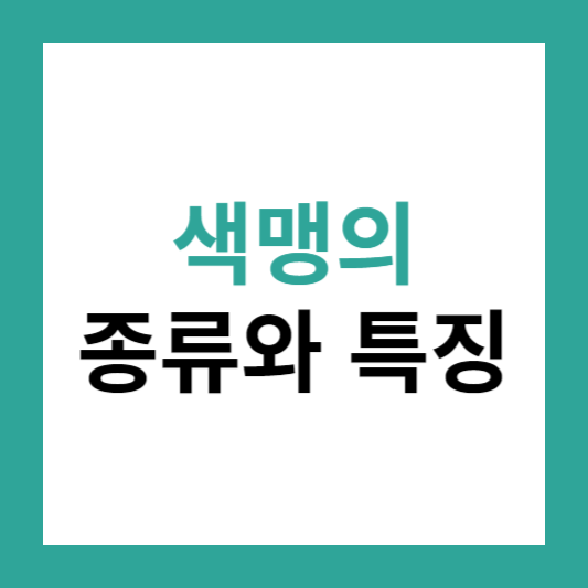 색맹의 종류와 특징