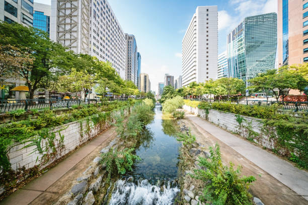  계묘년/임인일주/일주론/남자,여자