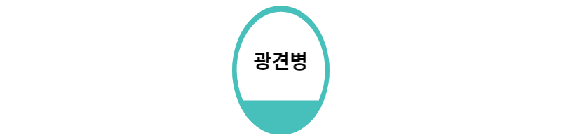  광견병 증상과 예방방법 정리