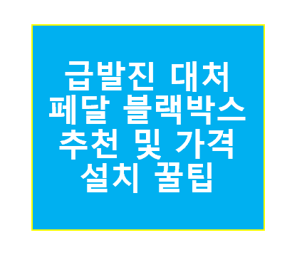 페달 블랙박스 추천 가격 설치