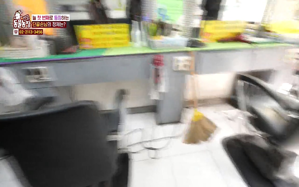 TV 동물농장.E1065.220418p-NEXT.mp4_20220417_181253.839.jpg