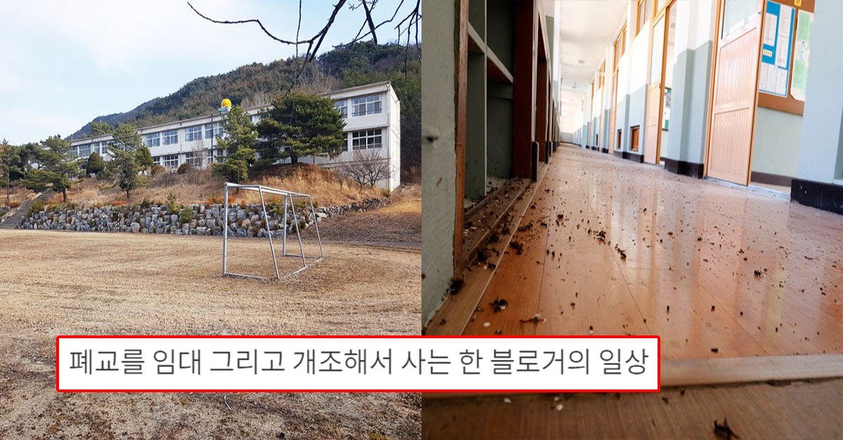  폐교를 임대 그리고 개조해서 사는 한 블로거의 일상
