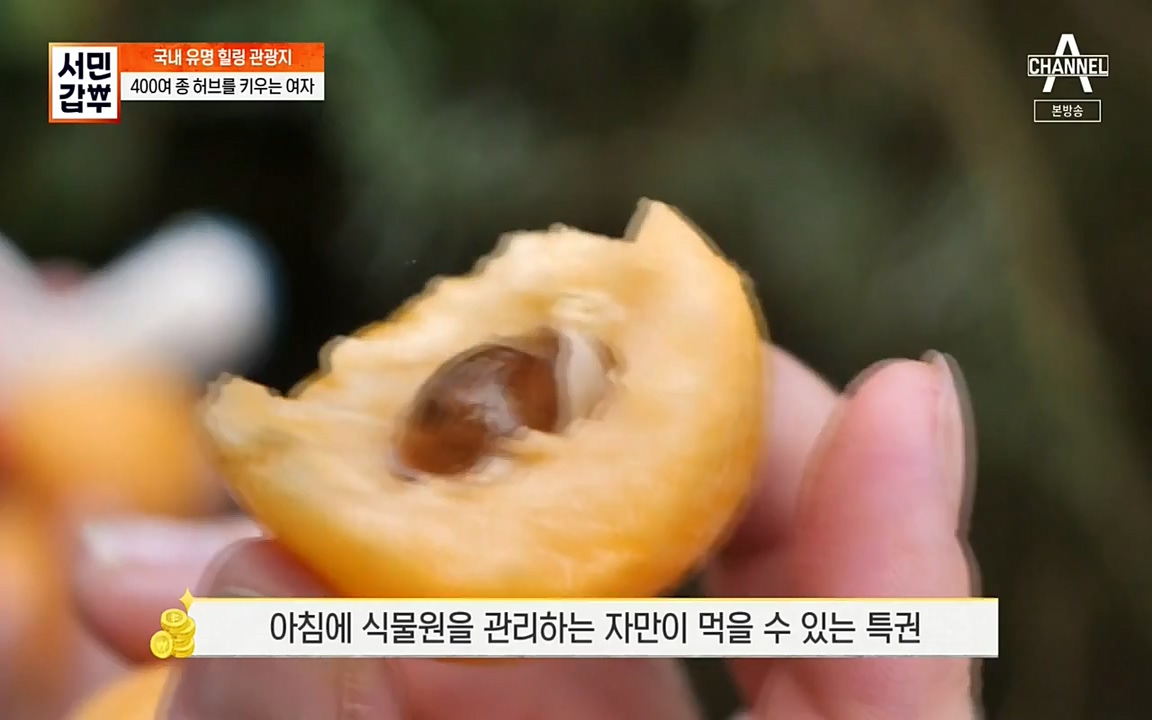 서민 갑부.E380.220424p-NEXT.mp4_20220424_184335.743.jpg