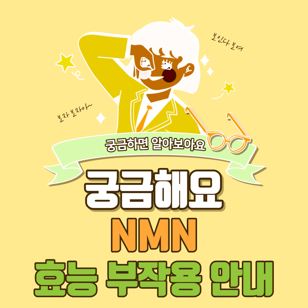  NMN 효능 부작용 회춘약?