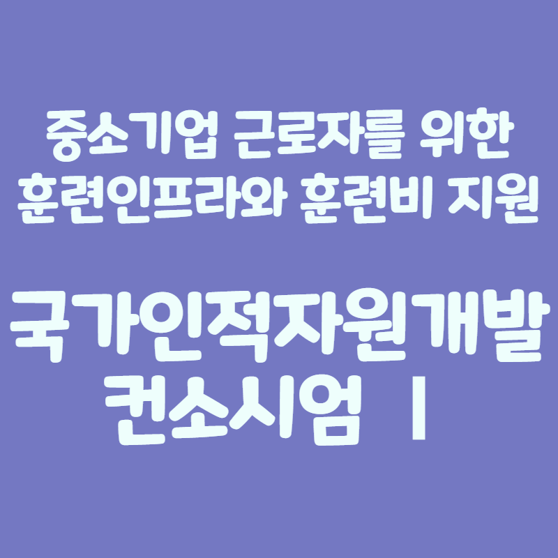 국가인적자원개발