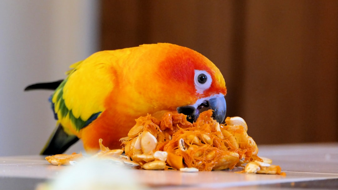 Pumpkin seeds.
