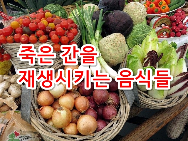  죽은 간을 재생시키는 귀중한 음식들