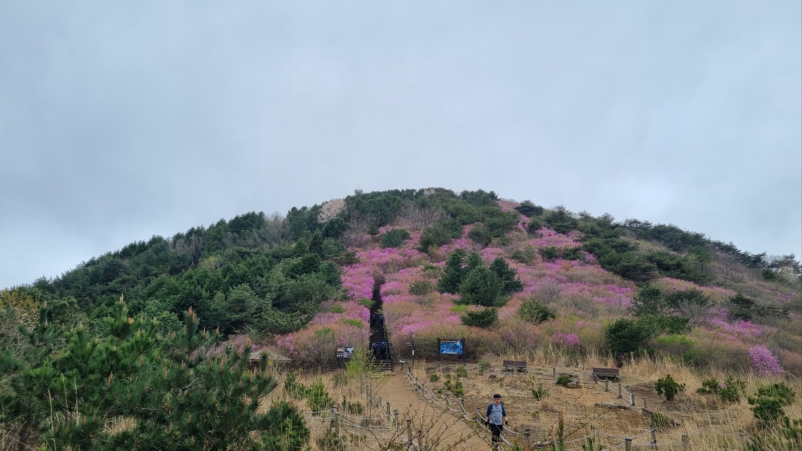 무학산 등산19