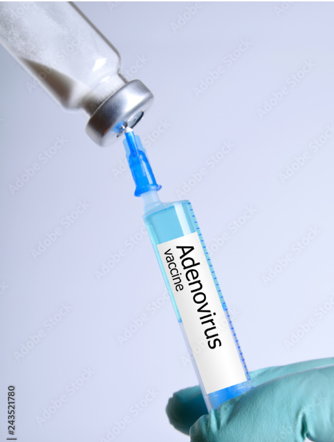 아데노 바이러스