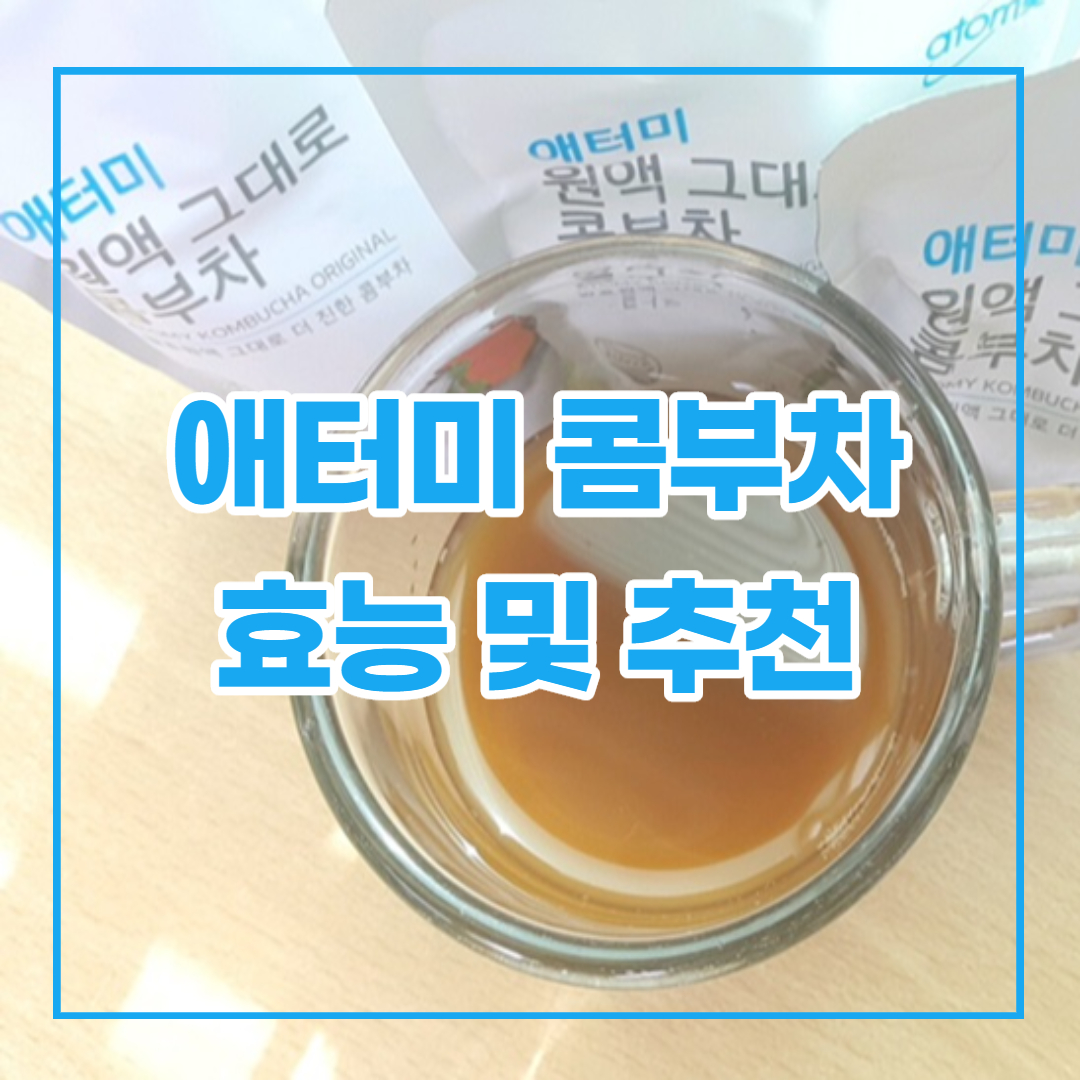  애터미 콤부차 추천, 콤부차 효능을 알아보기