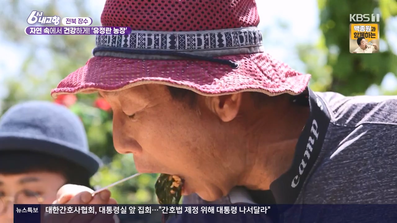 6시 내고향.E8057.240525p-NEXT.mp4_20240525_162205.643.jpg