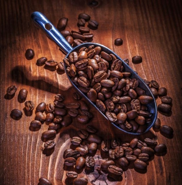 커피 원두 사진