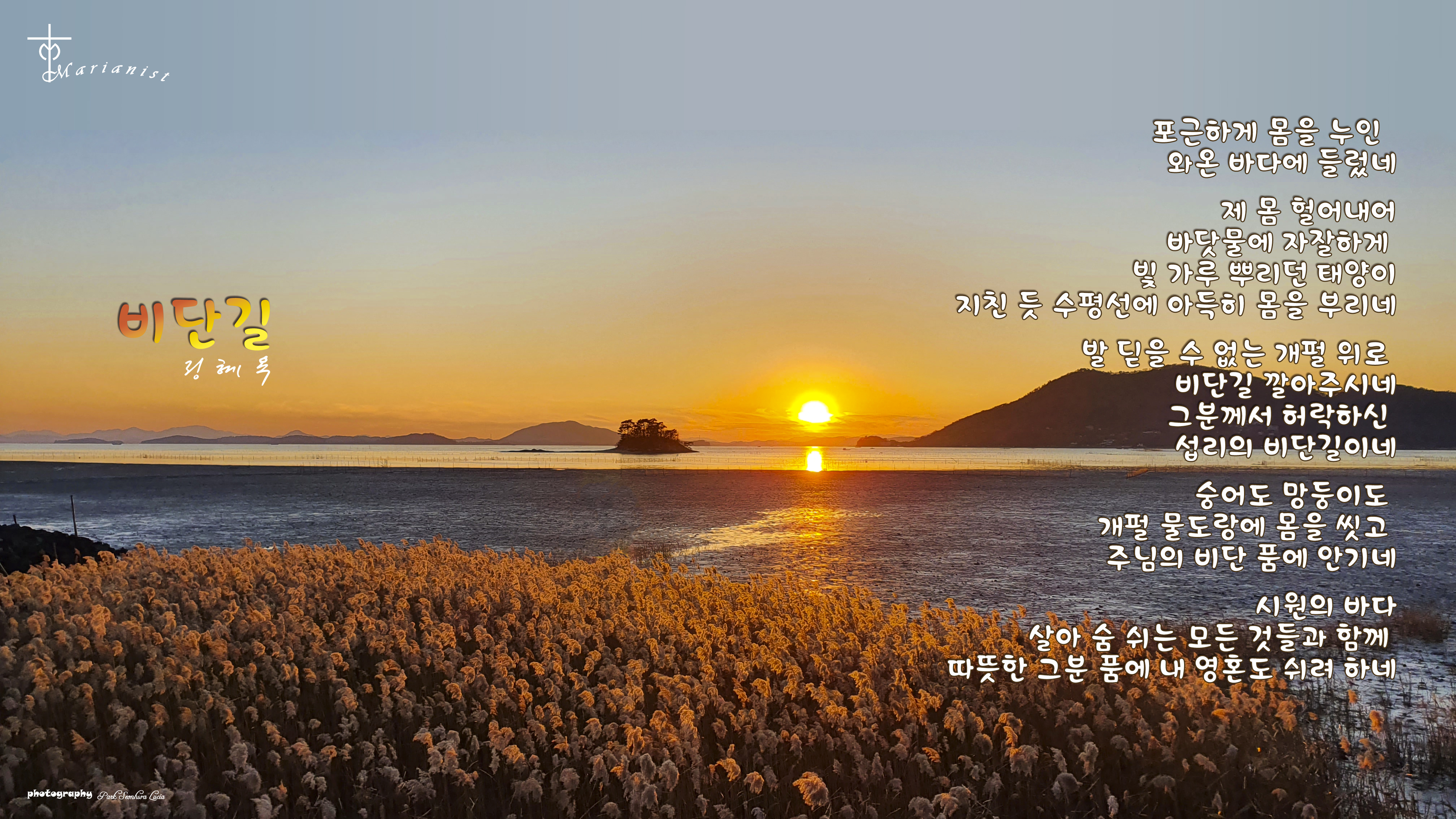 비단길 이미지