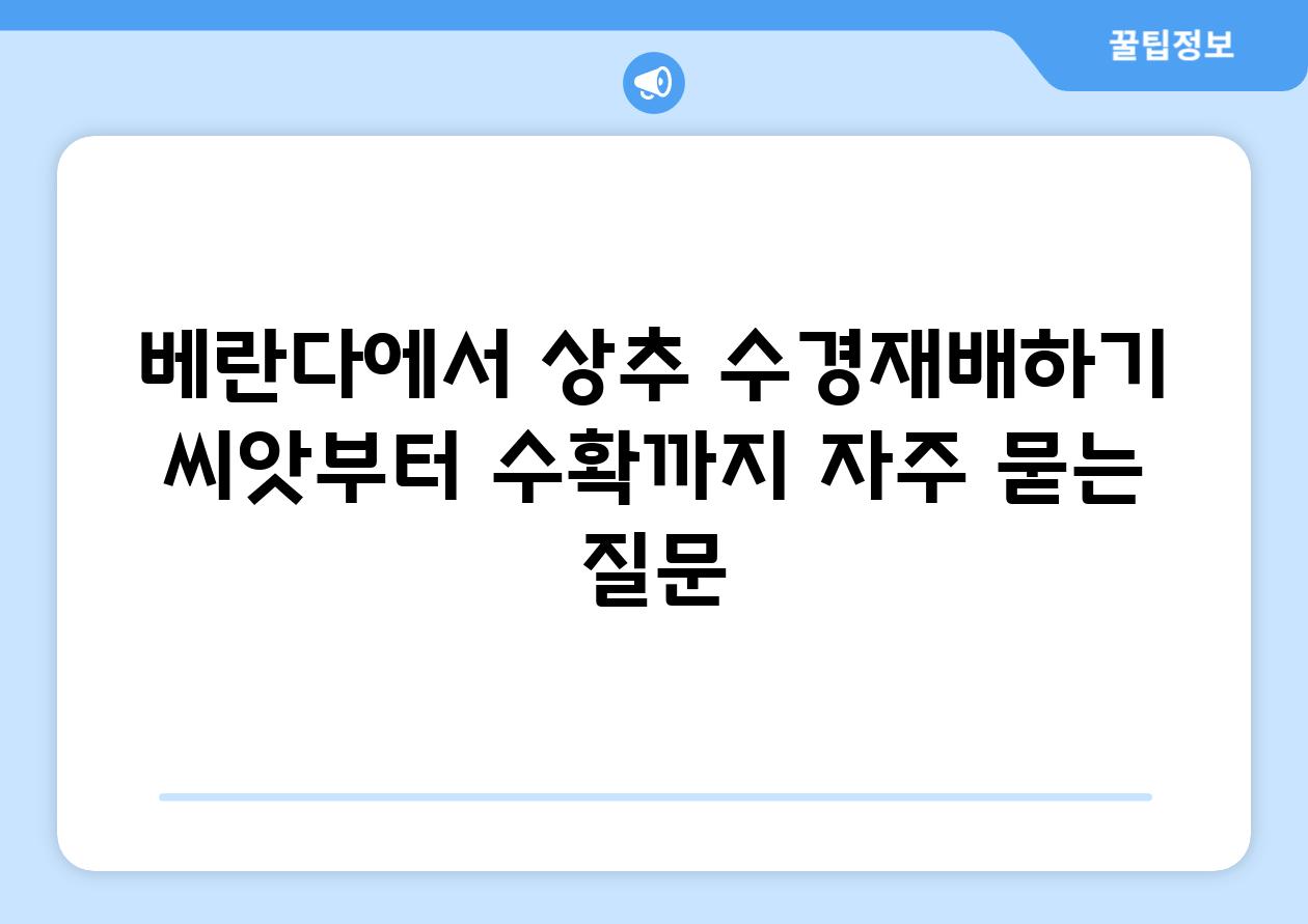 베란다에서 상추 수경재배하기: 씨앗부터 수확까지