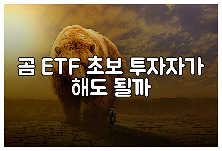 곰 ETF 초보 투자자가 해도 될까