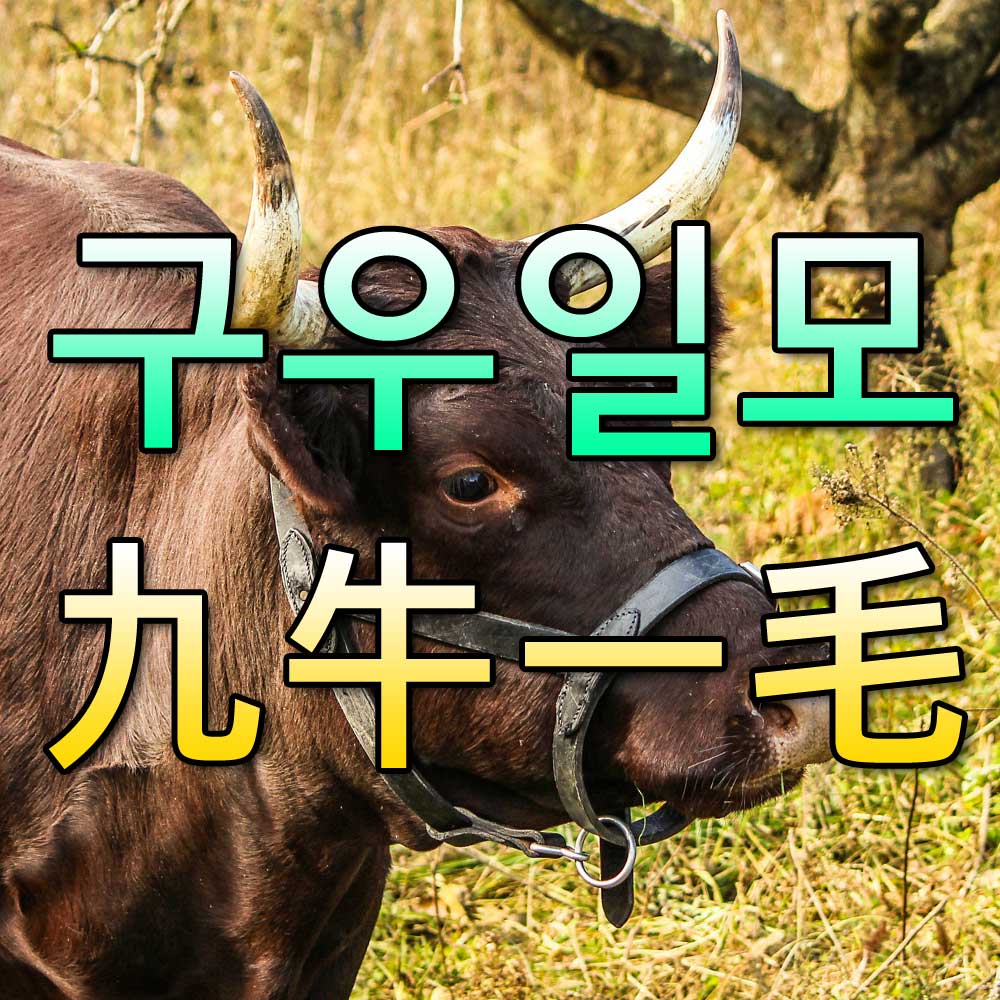 구우일모