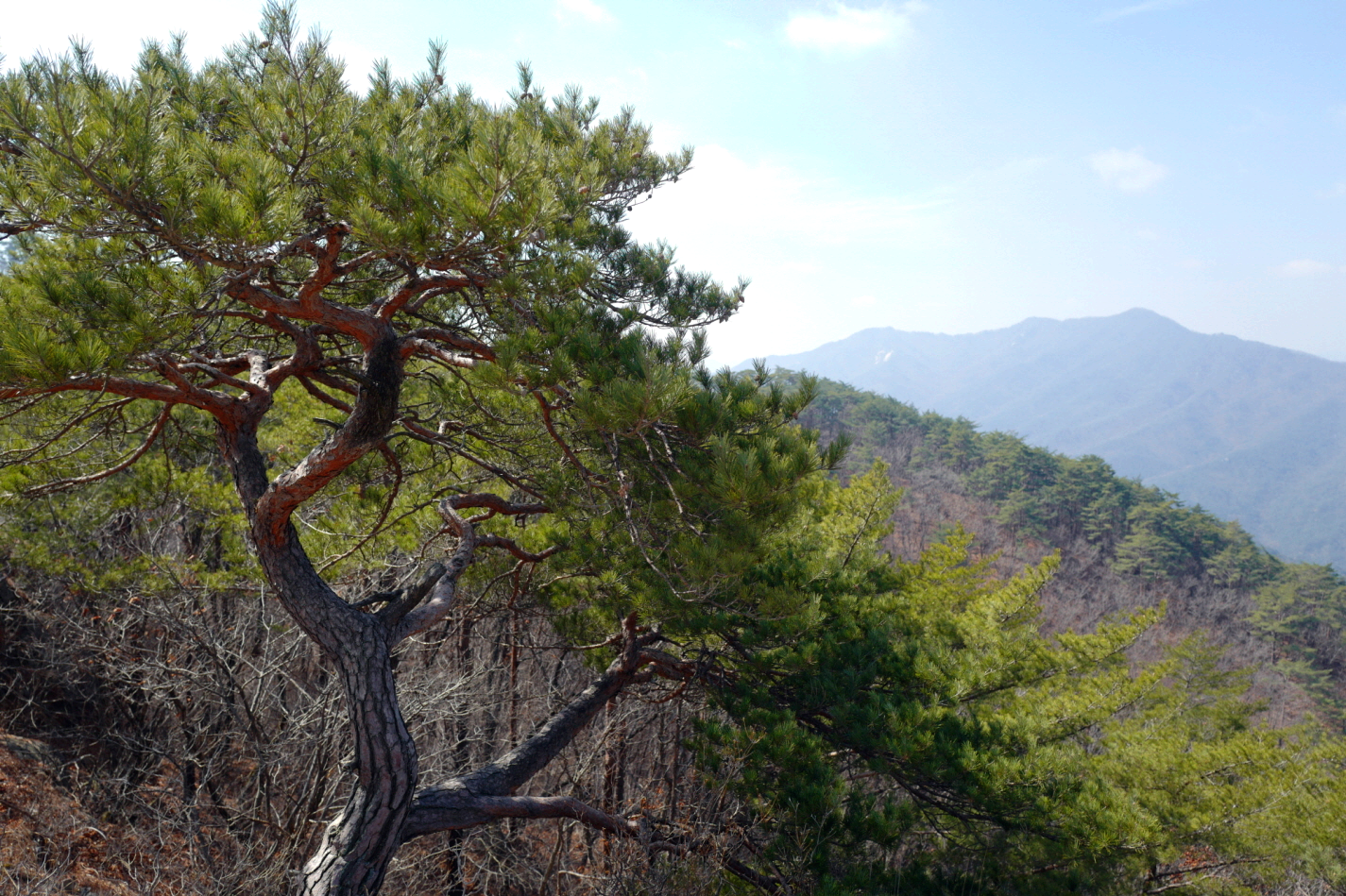 충북 괴산 여행 칠보산 등산 mountain hiking