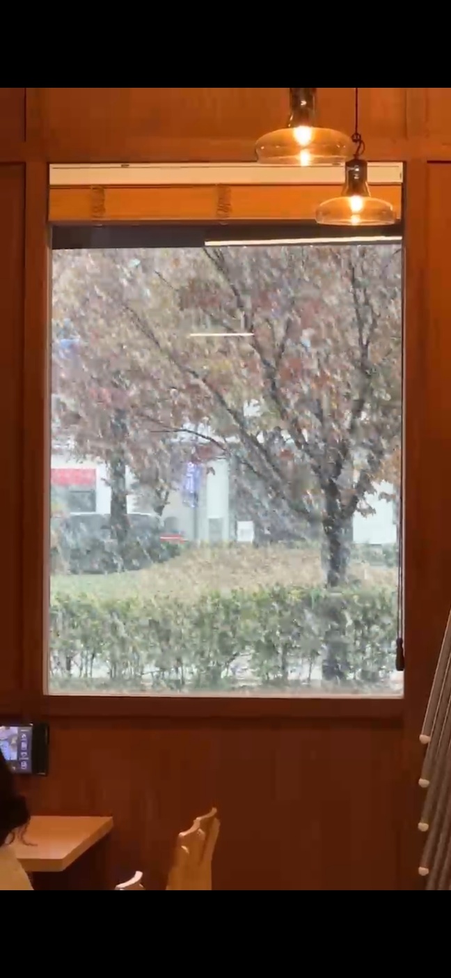 삼백돈돈가츠 이미지