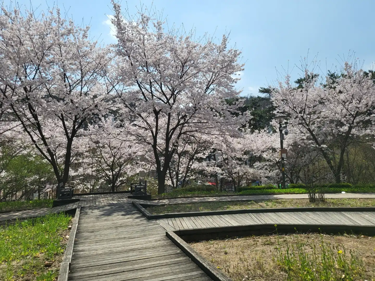 장미공원1