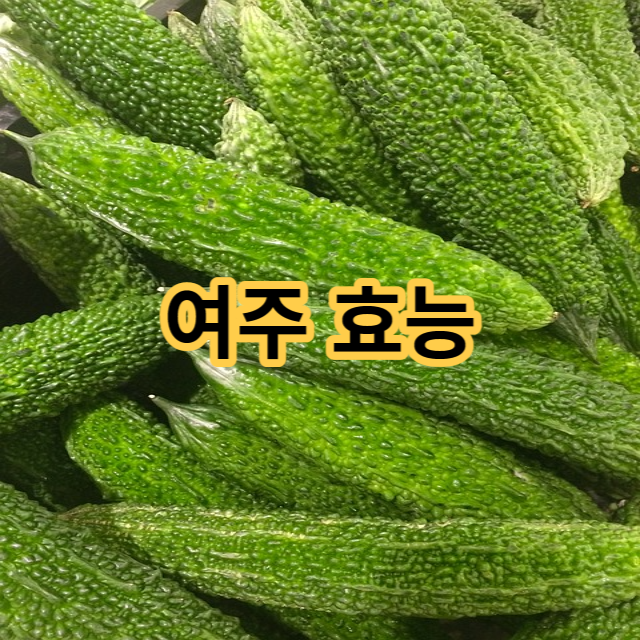  당뇨에 좋은 천연 인슐린 여주 효능 성분 부작용