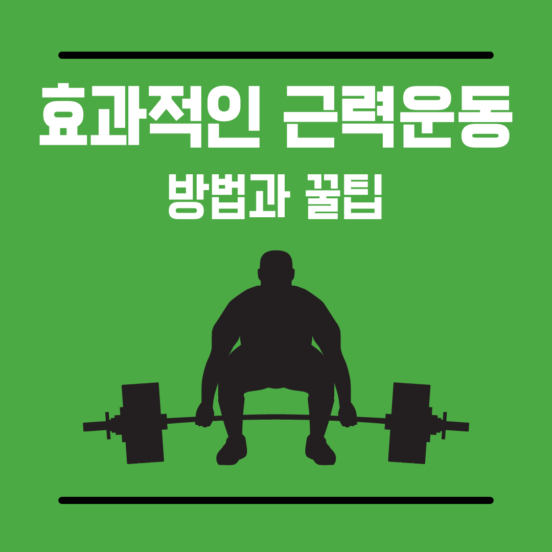근력운동