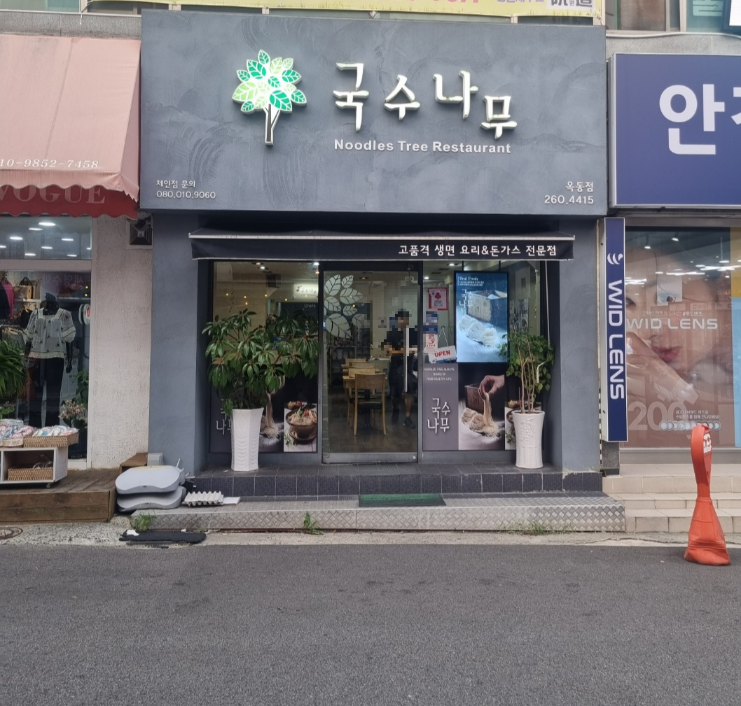 국수나무 이미지