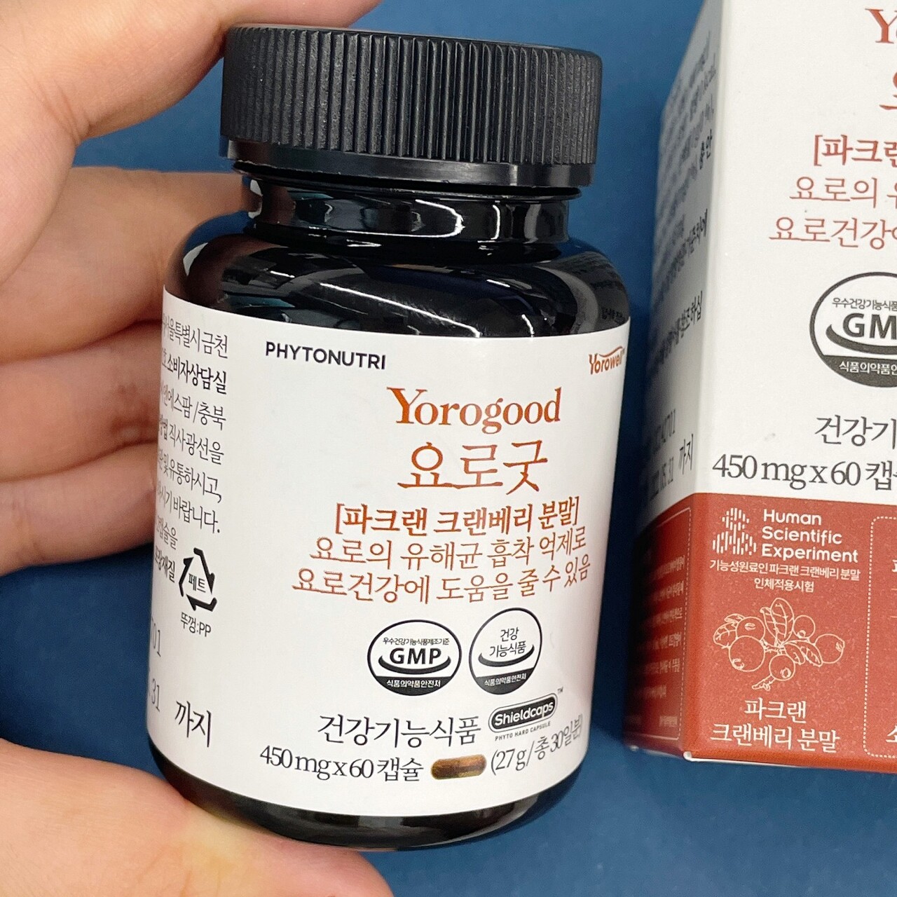  방광염 크랜베리