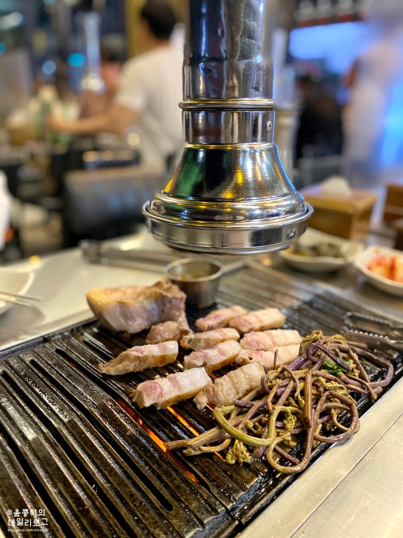 흑꽃돈 이미지